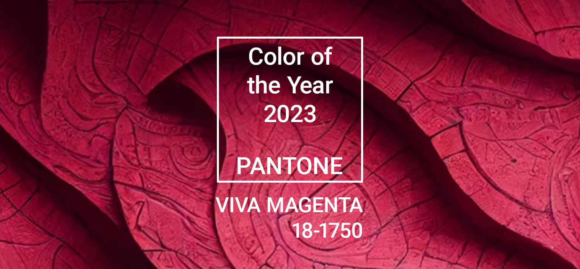 viva magenta pantone color of the year 2023 blog post header