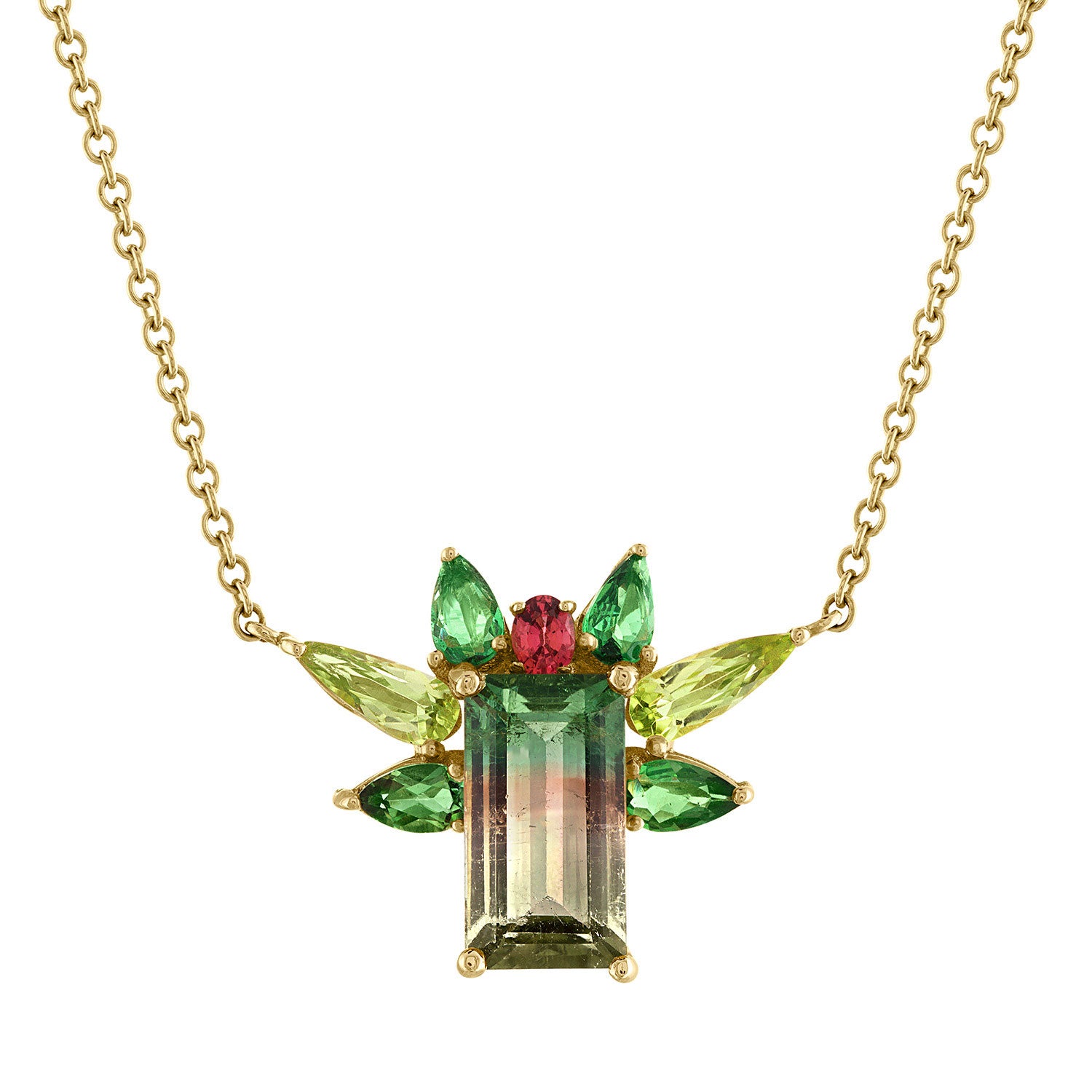 bicolor tourmaline surrounded with sapphire, tsavorites and peridots. One of a kinf 14k yellow gold necklace.